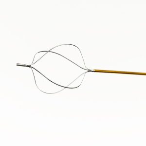 Segura Hemisphere™